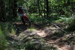 RR15 BetaBikes.de (18)