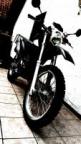 Black_Alp_4.0s Avatar
