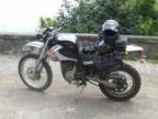 Grunis Avatar