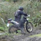 Rubbers Avatar