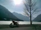 Alpines Avatar