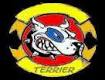 Terriers Avatar