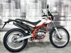 Alpino63s Avatar
