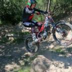 Evo4Ts Avatar