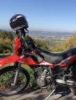 Bikefreaks Avatar