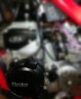 Choostdoggs Avatar