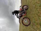 smsands Avatar