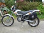 tomei65s Avatar